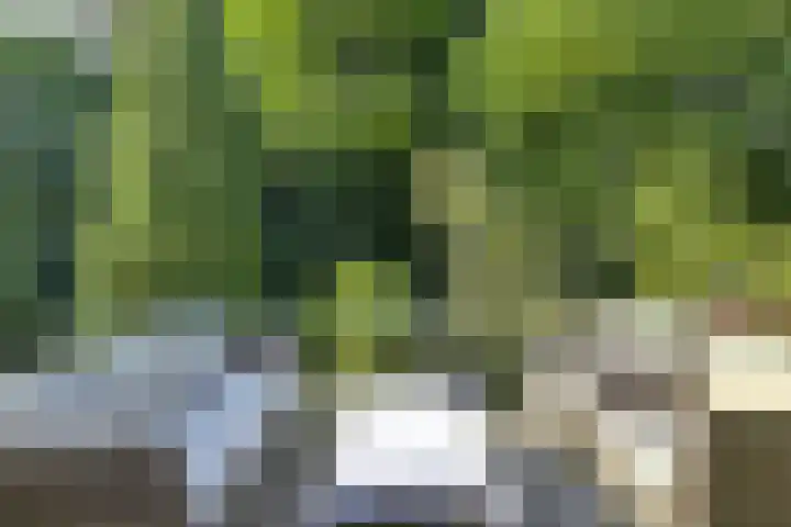 Melvill van Carnbeelaan 100 Driebergen-Rijsenburg thumbnail 33