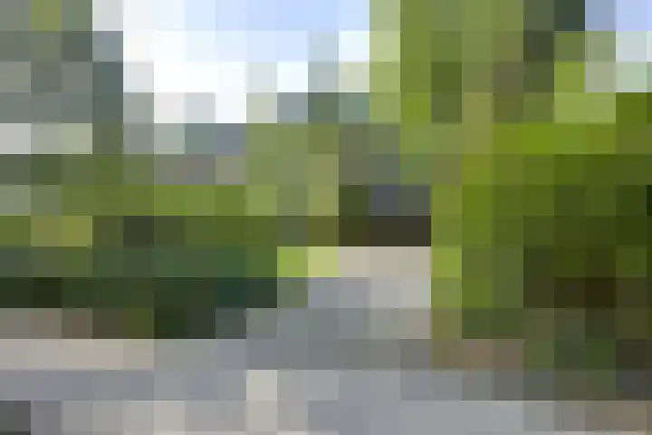 Melvill van Carnbeelaan 100 Driebergen-Rijsenburg thumbnail 50