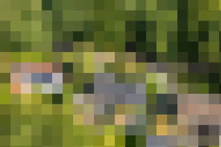 Melvill van Carnbeelaan 100 Driebergen-Rijsenburg thumbnail 51