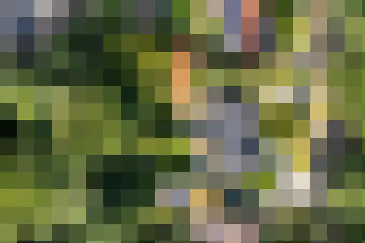 Melvill van Carnbeelaan 100 Driebergen-Rijsenburg thumbnail 52