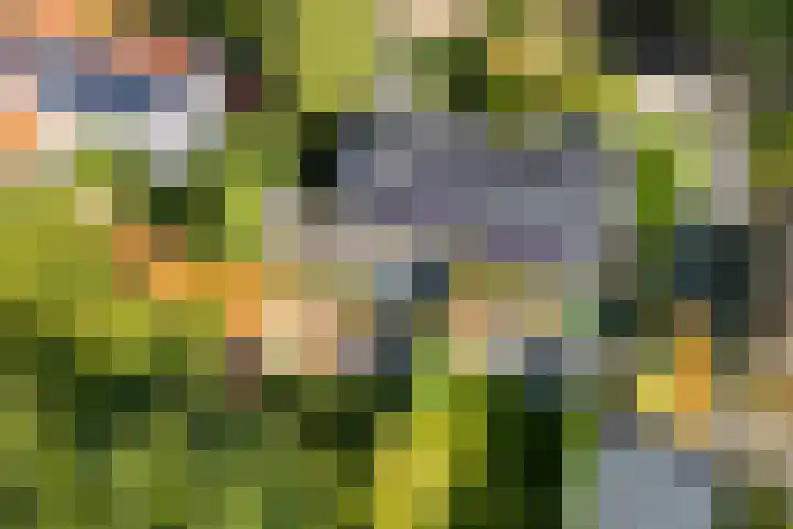 Melvill van Carnbeelaan 100 Driebergen-Rijsenburg thumbnail 55