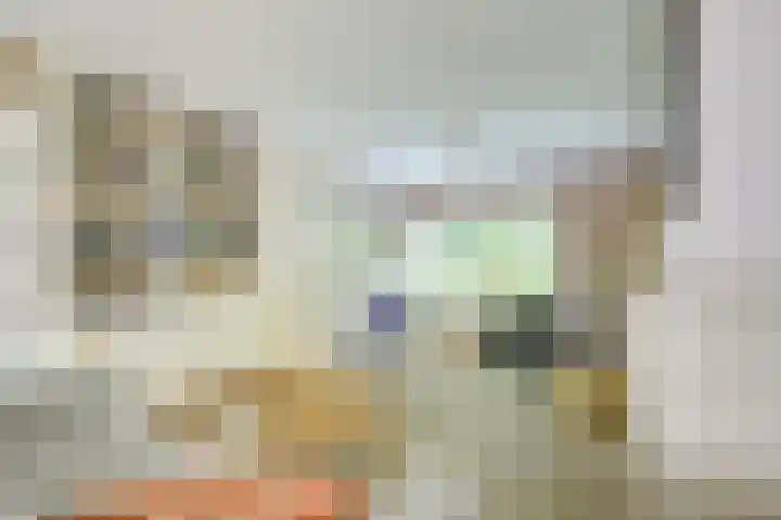 Melvill van Carnbeelaan 100 Driebergen-Rijsenburg thumbnail 6