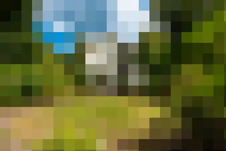 Melvill van Carnbeelaan 102 Driebergen-Rijsenburg thumbnail 48