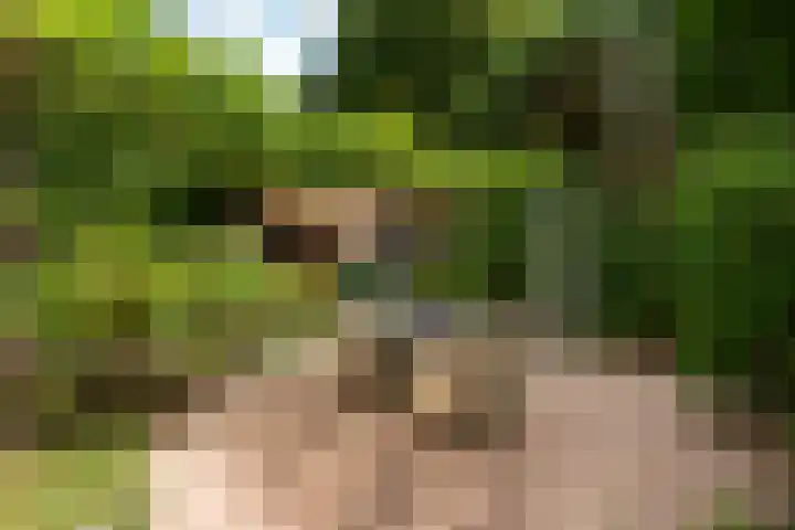 Melvill van Carnbeelaan 102 Driebergen-Rijsenburg thumbnail 5