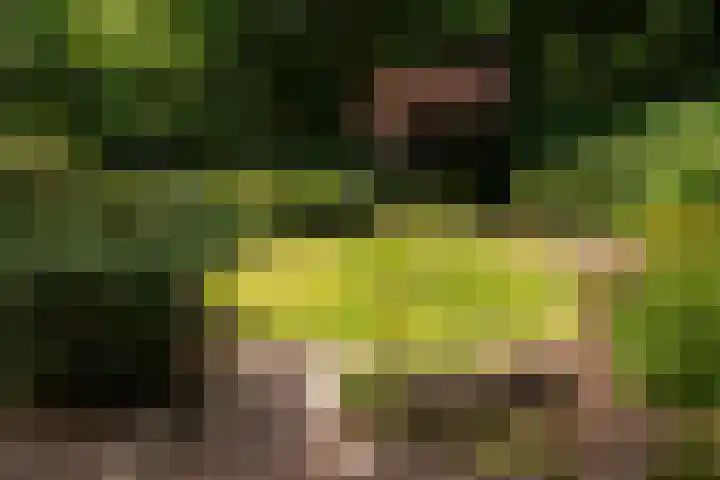 Melvill van Carnbeelaan 102 Driebergen-Rijsenburg thumbnail 6