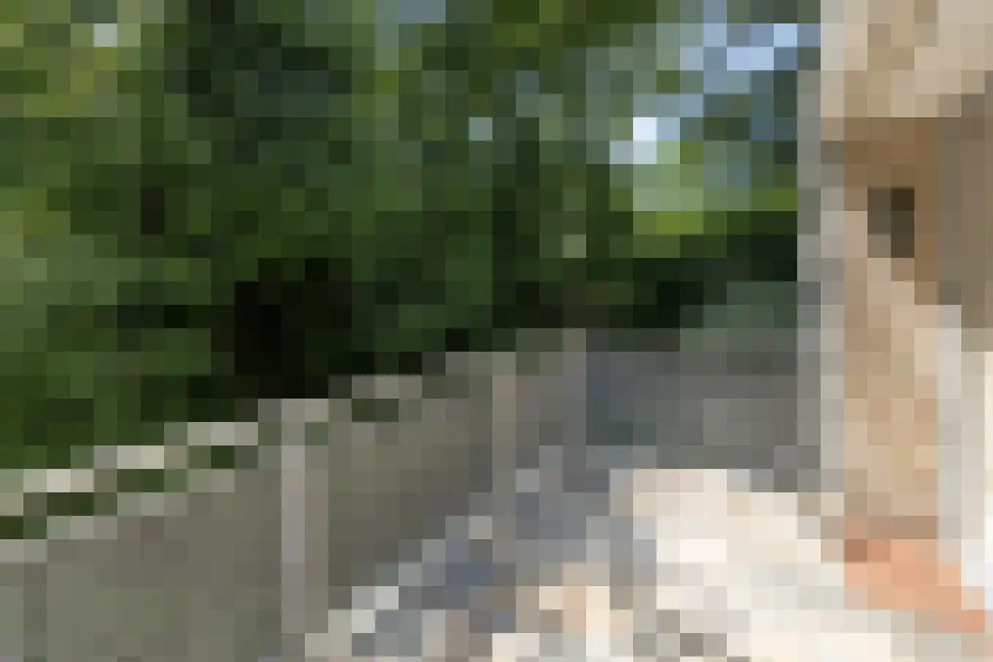 Melvill van Carnbeelaan 20 a Driebergen-Rijsenburg thumbnail 15