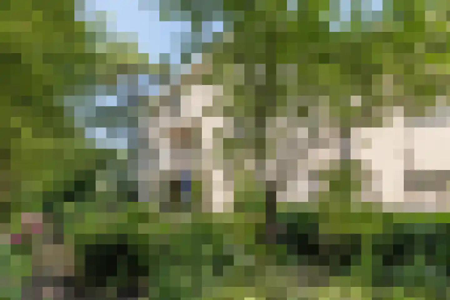 Melvill van Carnbeelaan 20 a Driebergen-Rijsenburg thumbnail 32