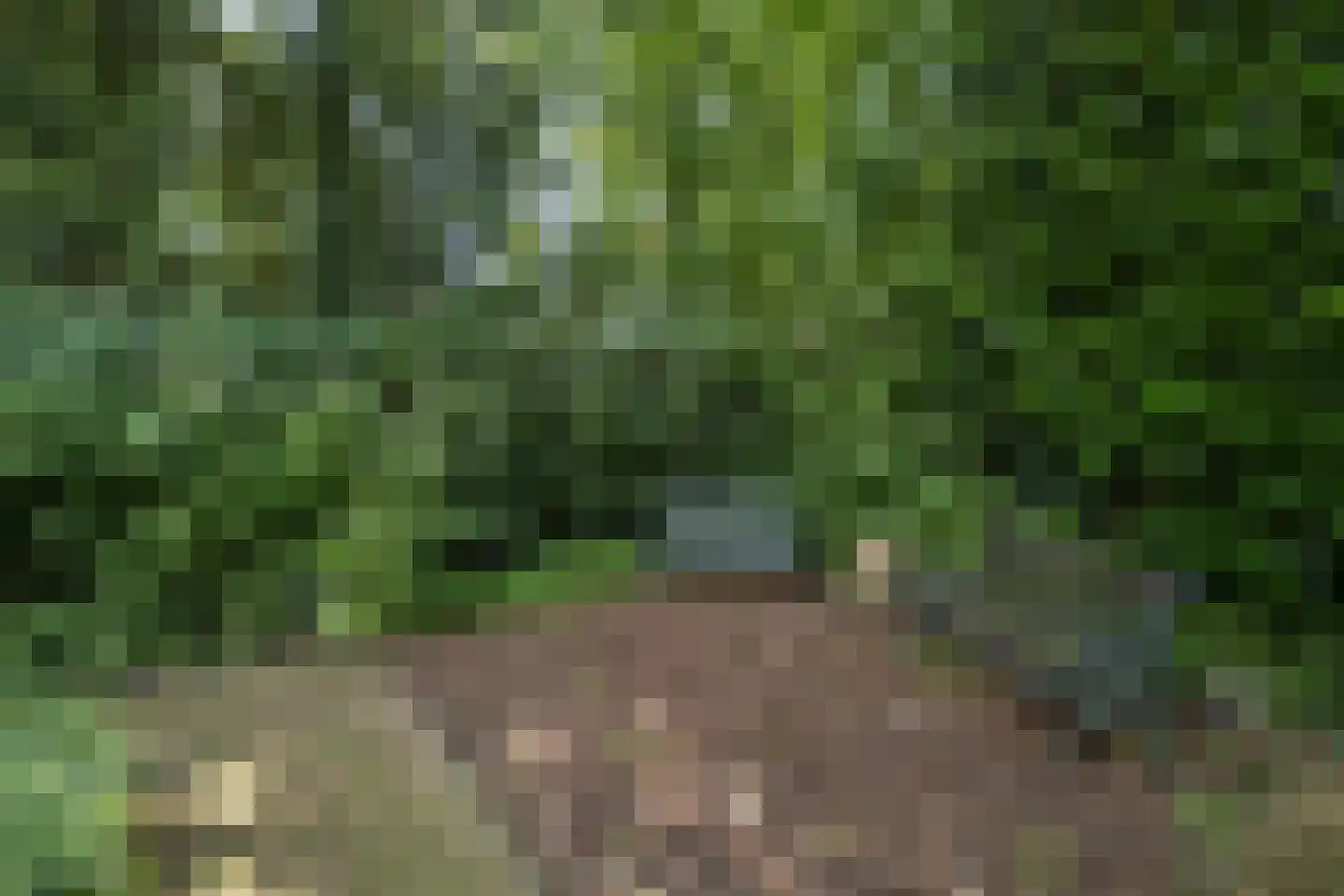 Melvill van Carnbeelaan 20 a Driebergen-Rijsenburg thumbnail 33