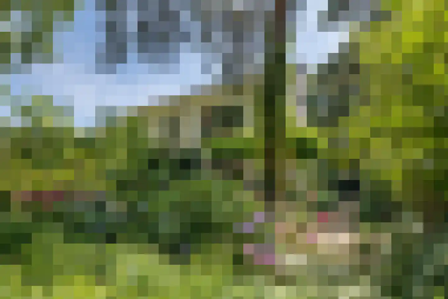 Melvill van Carnbeelaan 20 a Driebergen-Rijsenburg thumbnail 37