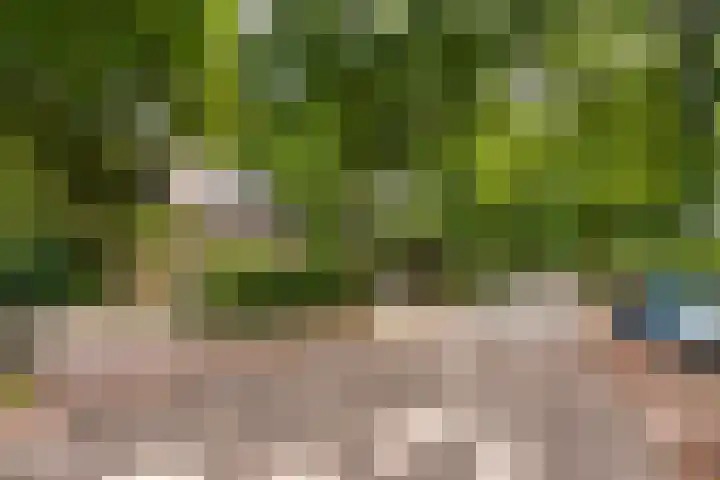 Melvill van Carnbeelaan 25 Driebergen-Rijsenburg thumbnail 4