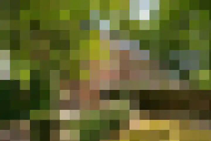 Melvill van Carnbeelaan 25 Driebergen-Rijsenburg thumbnail 43