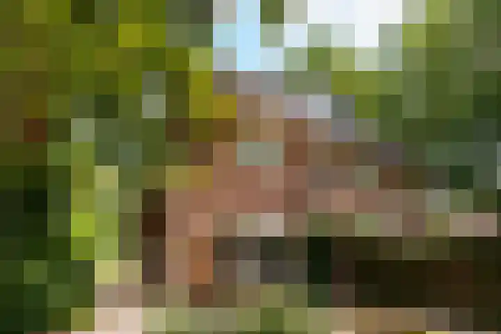 Melvill van Carnbeelaan 25 Driebergen-Rijsenburg thumbnail 5