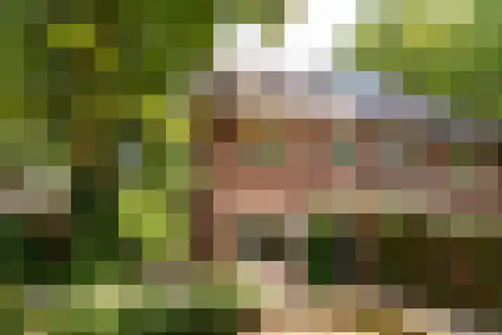 Melvill van Carnbeelaan 25 Driebergen-Rijsenburg thumbnail 6