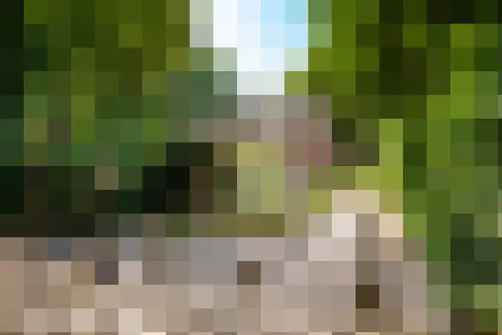 Melvill van Carnbeelaan 25 Driebergen-Rijsenburg thumbnail 7
