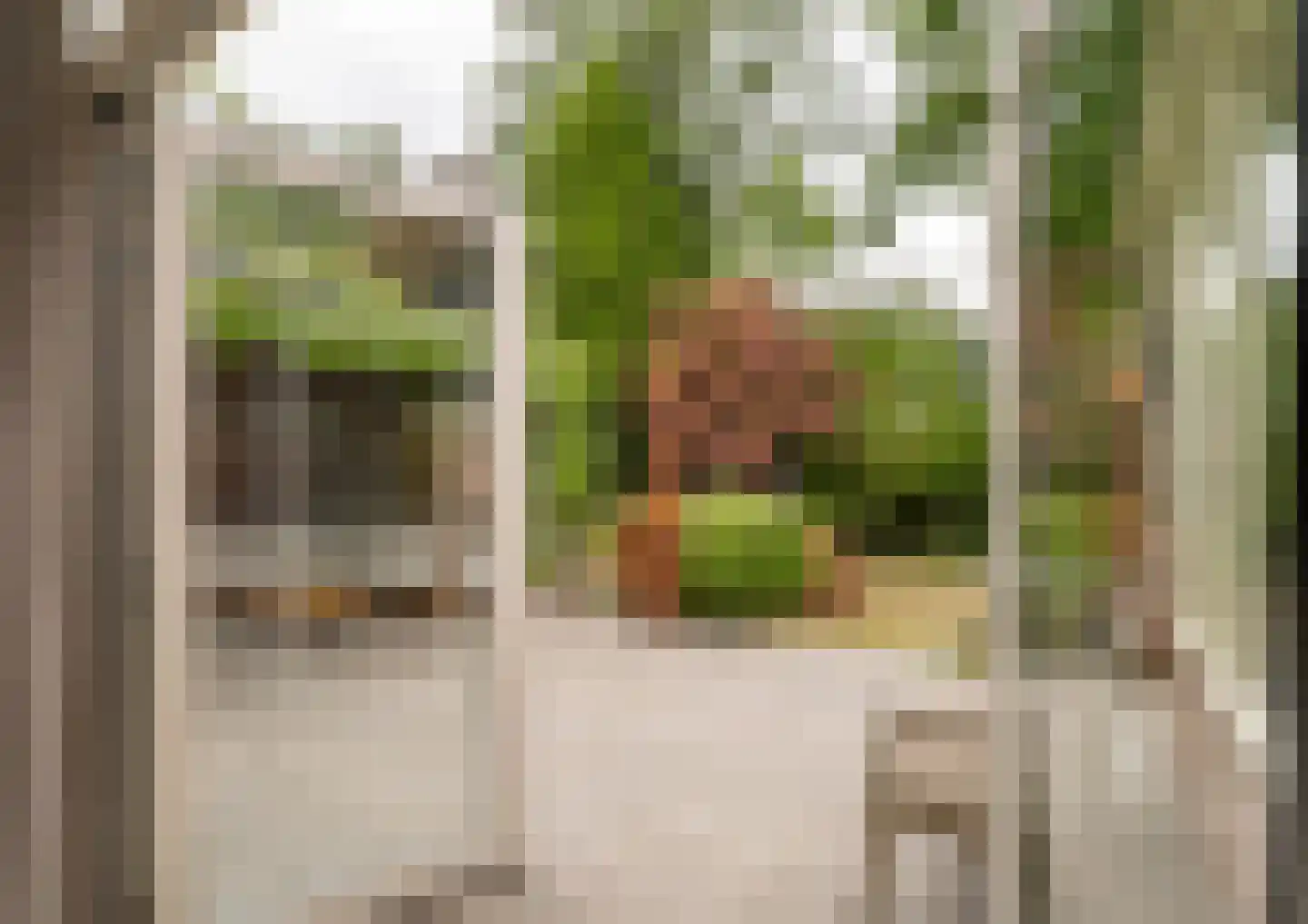 Melvill van Carnbeelaan 45 Driebergen-Rijsenburg thumbnail 13