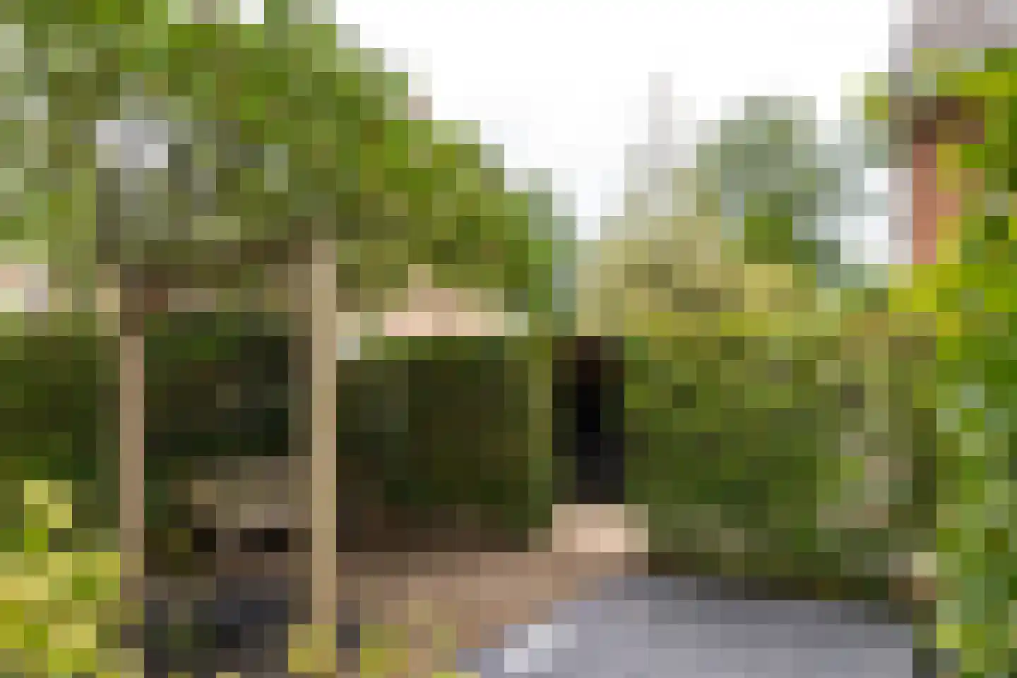 Melvill van Carnbeelaan 45 Driebergen-Rijsenburg thumbnail 35