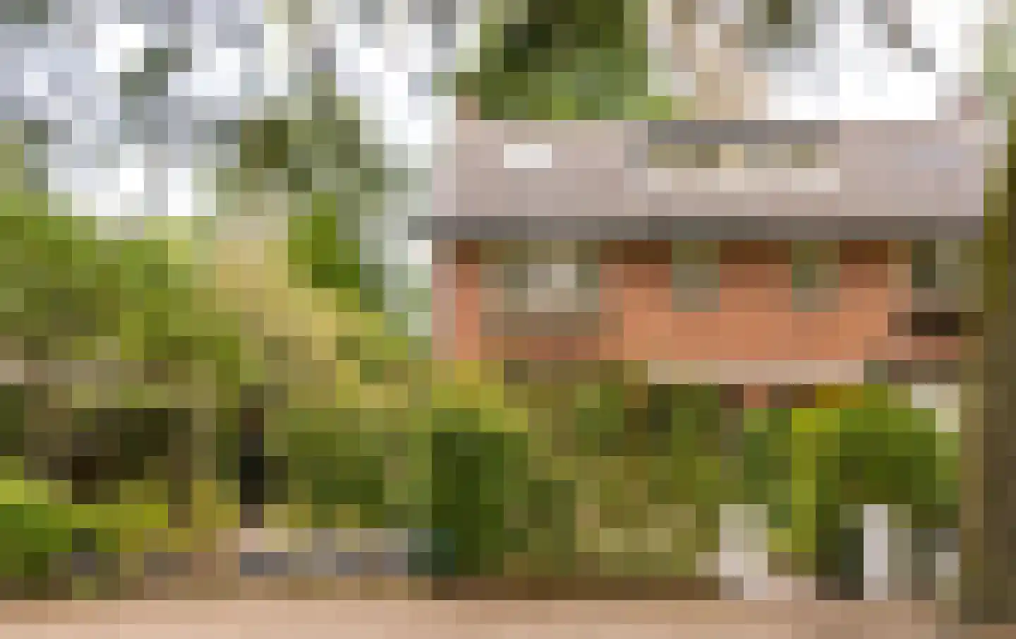 Melvill van Carnbeelaan 45 Driebergen-Rijsenburg thumbnail 37