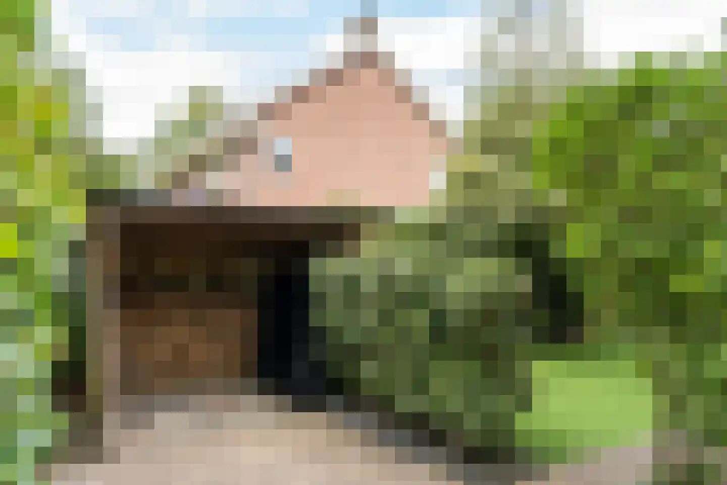 Melvill van Carnbeelaan 45 Driebergen-Rijsenburg thumbnail 38