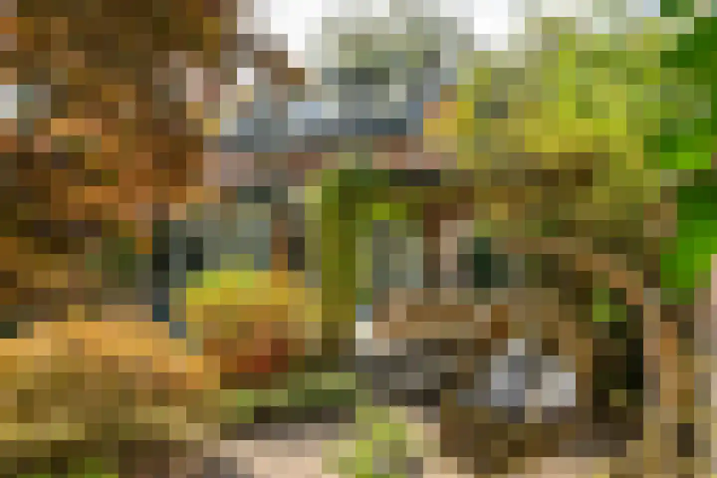 Melvill van Carnbeelaan 45 Driebergen-Rijsenburg thumbnail 4