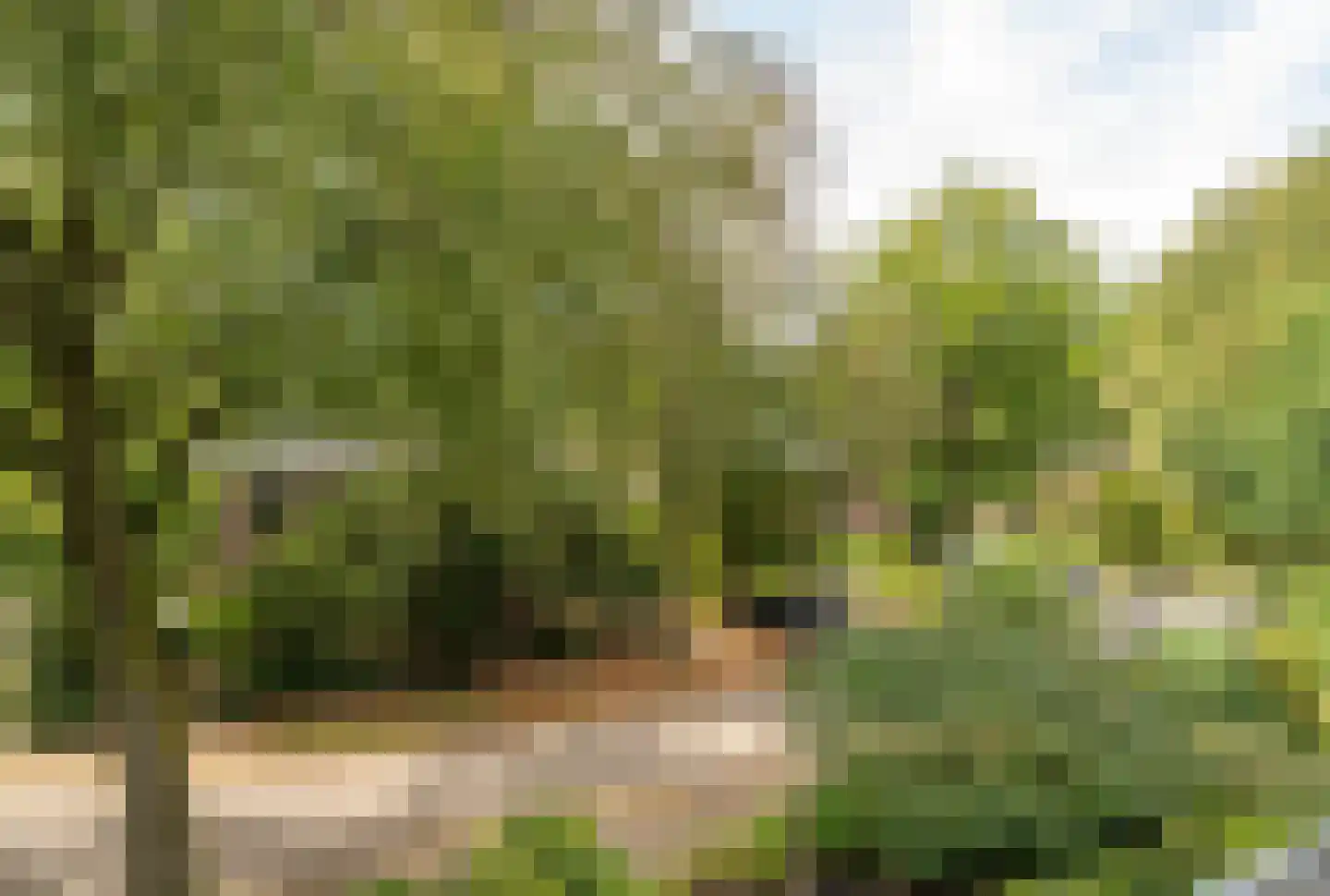 Melvill van Carnbeelaan 45 Driebergen-Rijsenburg thumbnail 43
