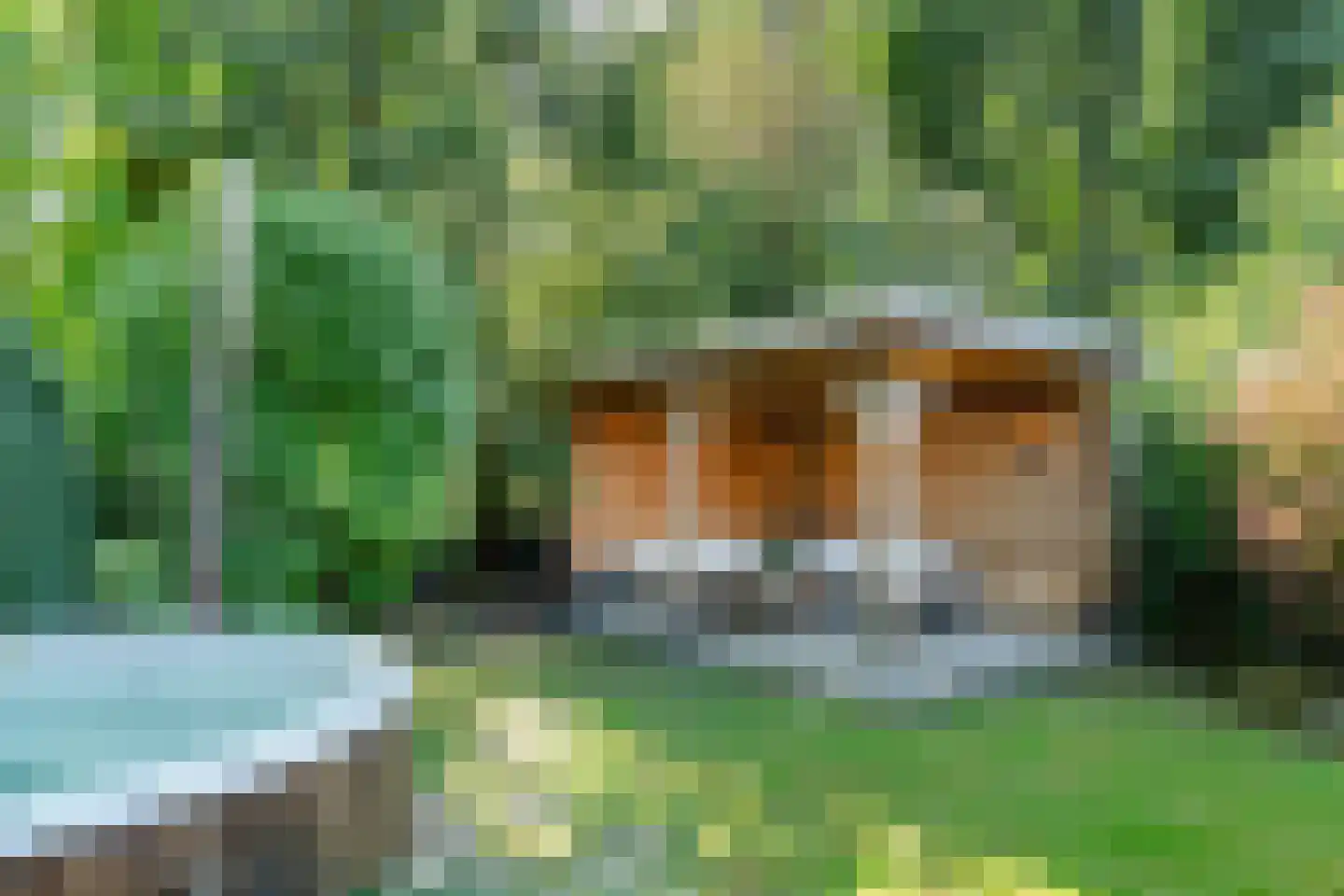 Melvill van Carnbeelaan 84 Driebergen-Rijsenburg thumbnail 28