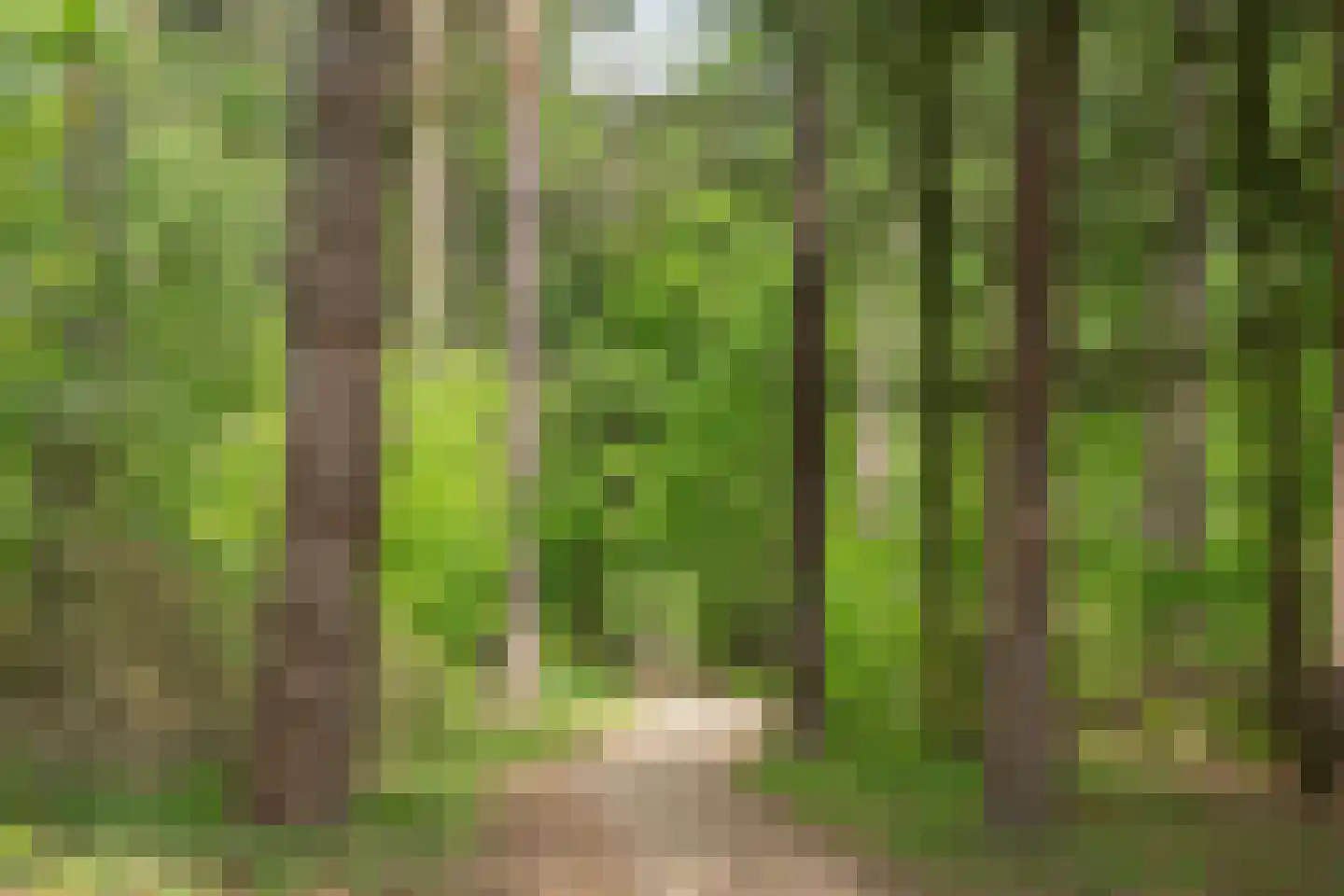 Melvill van Carnbeelaan 84 Driebergen-Rijsenburg thumbnail 37