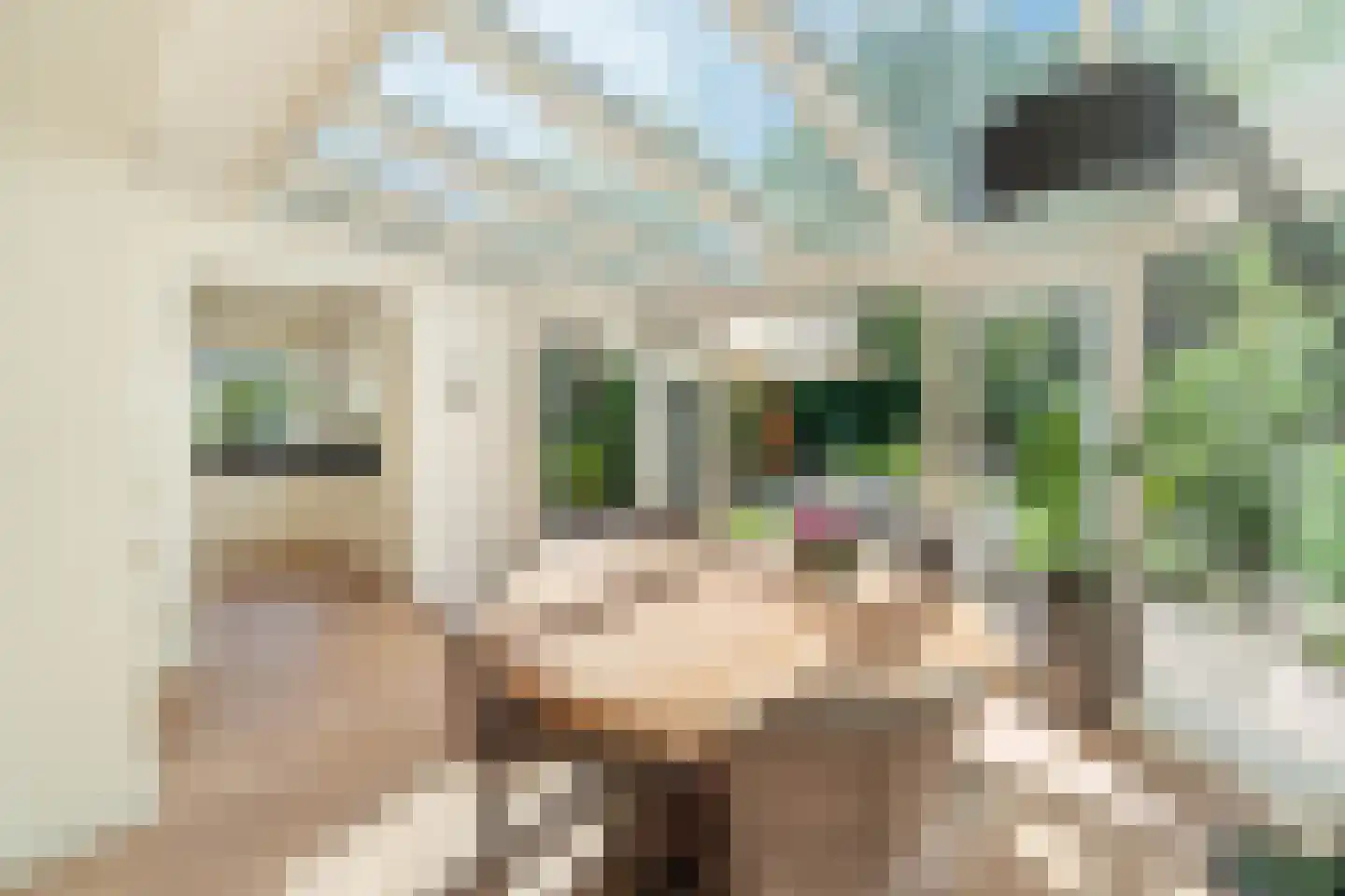 Melvill van Carnbeelaan 84 Driebergen-Rijsenburg thumbnail 9