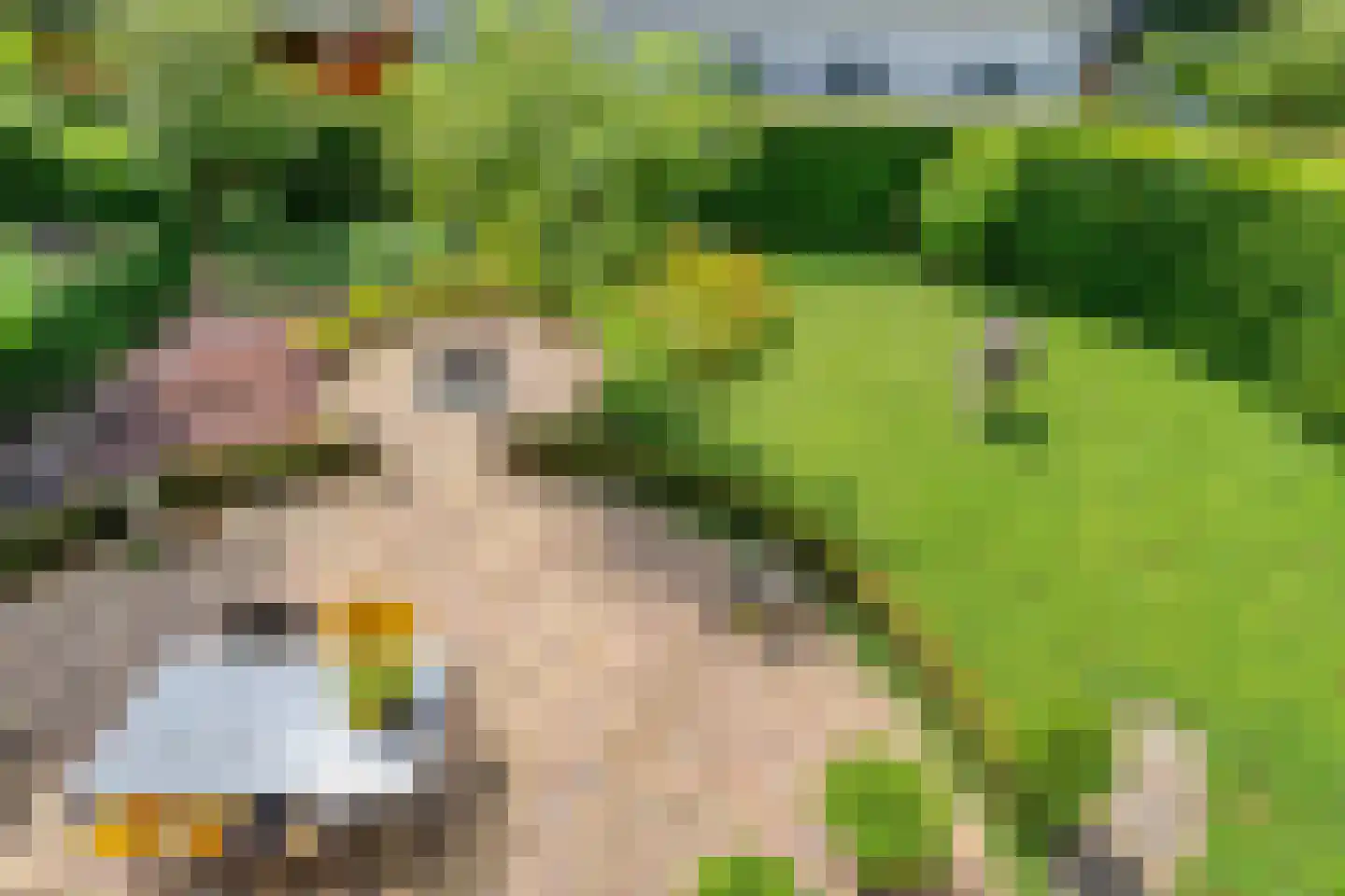 Membredehof 6 Hulsberg thumbnail 25