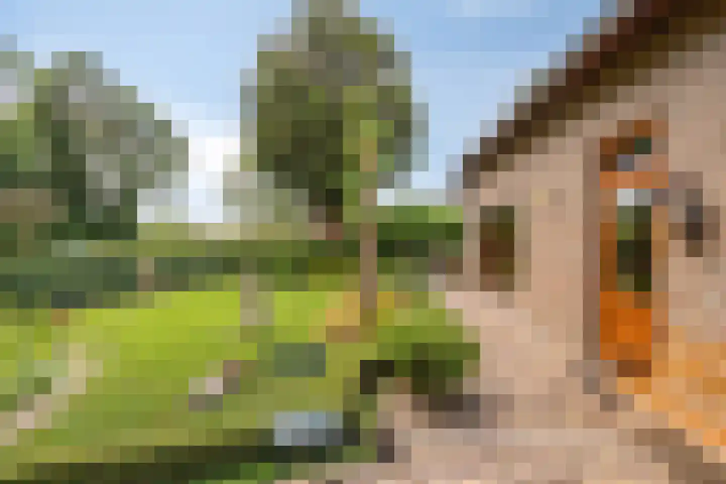 Membredehof 6 Hulsberg thumbnail 26