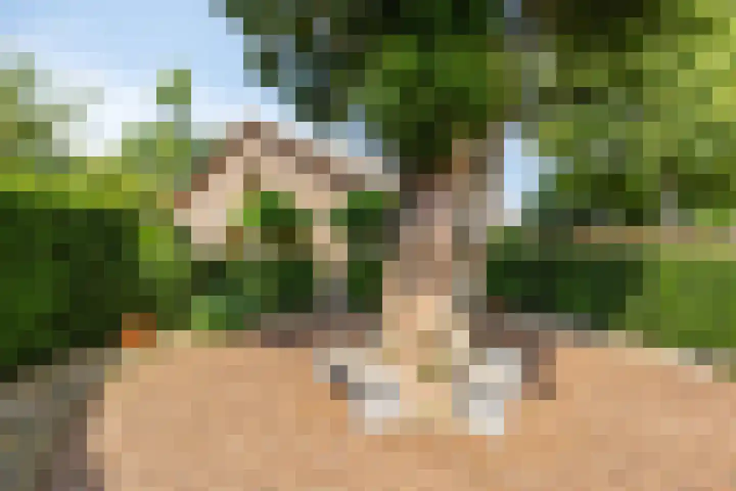 Membredehof 6 Hulsberg thumbnail 27
