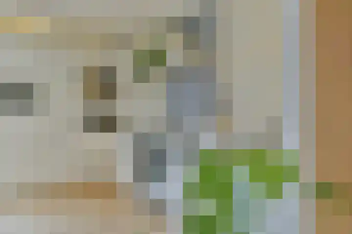 Memel 16 Leerdam thumbnail 22