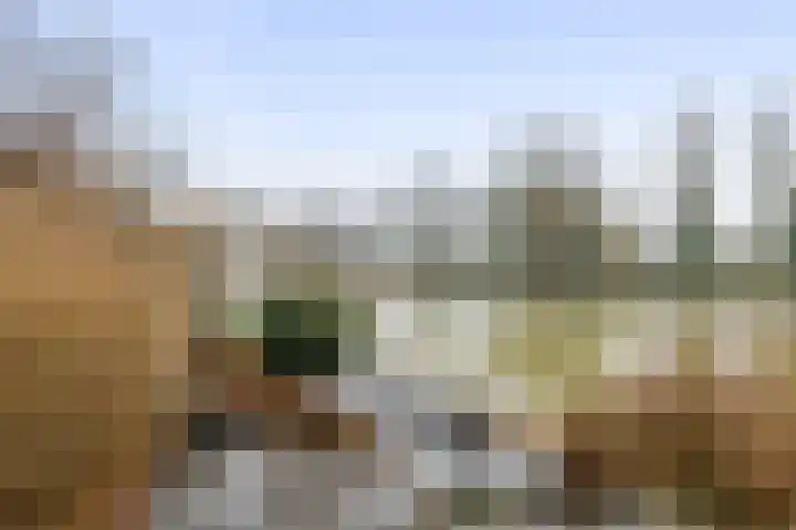 Memel 16 Leerdam thumbnail 42