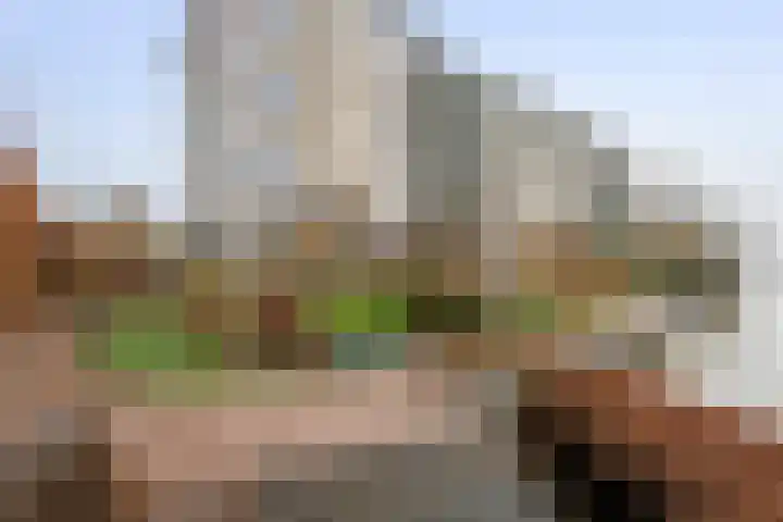 Memel 16 Leerdam thumbnail 5