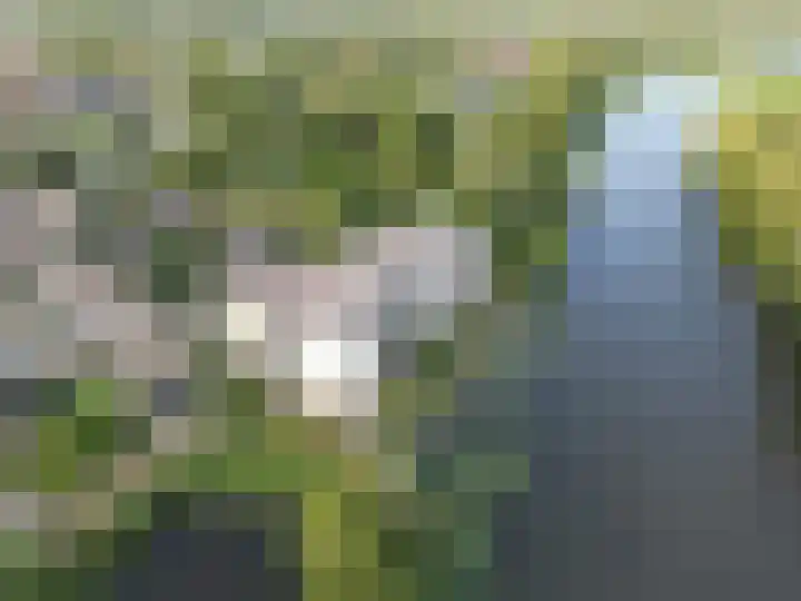 Memel 16 Leerdam thumbnail 56