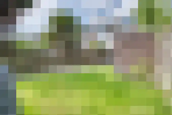 Memel 16 Leerdam thumbnail 7