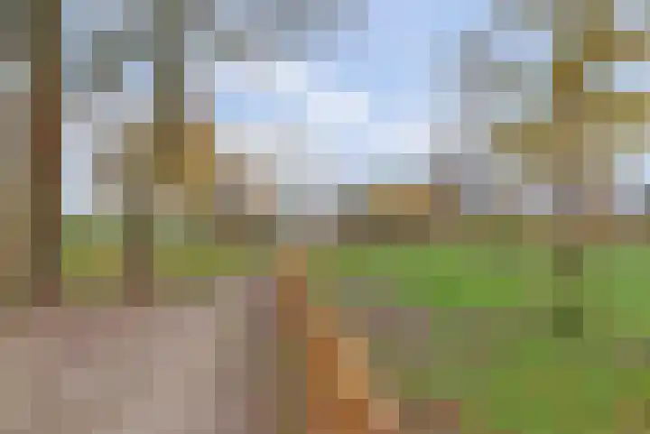 Memel 24 Leerdam thumbnail 29