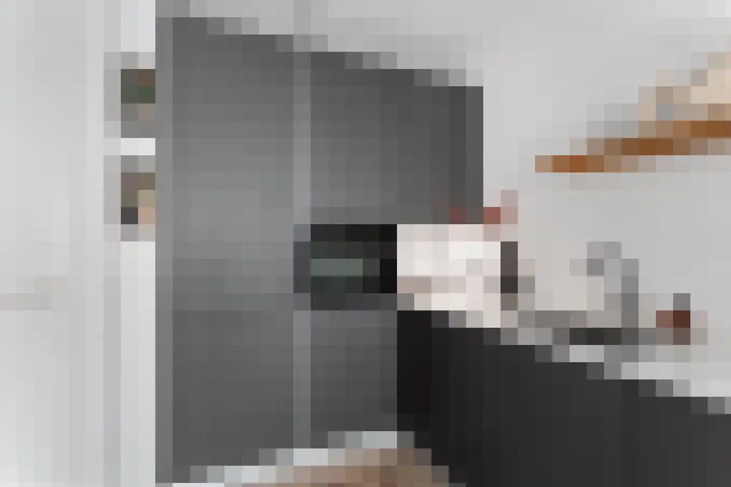 Memeleiland 116 Amsterdam thumbnail 16