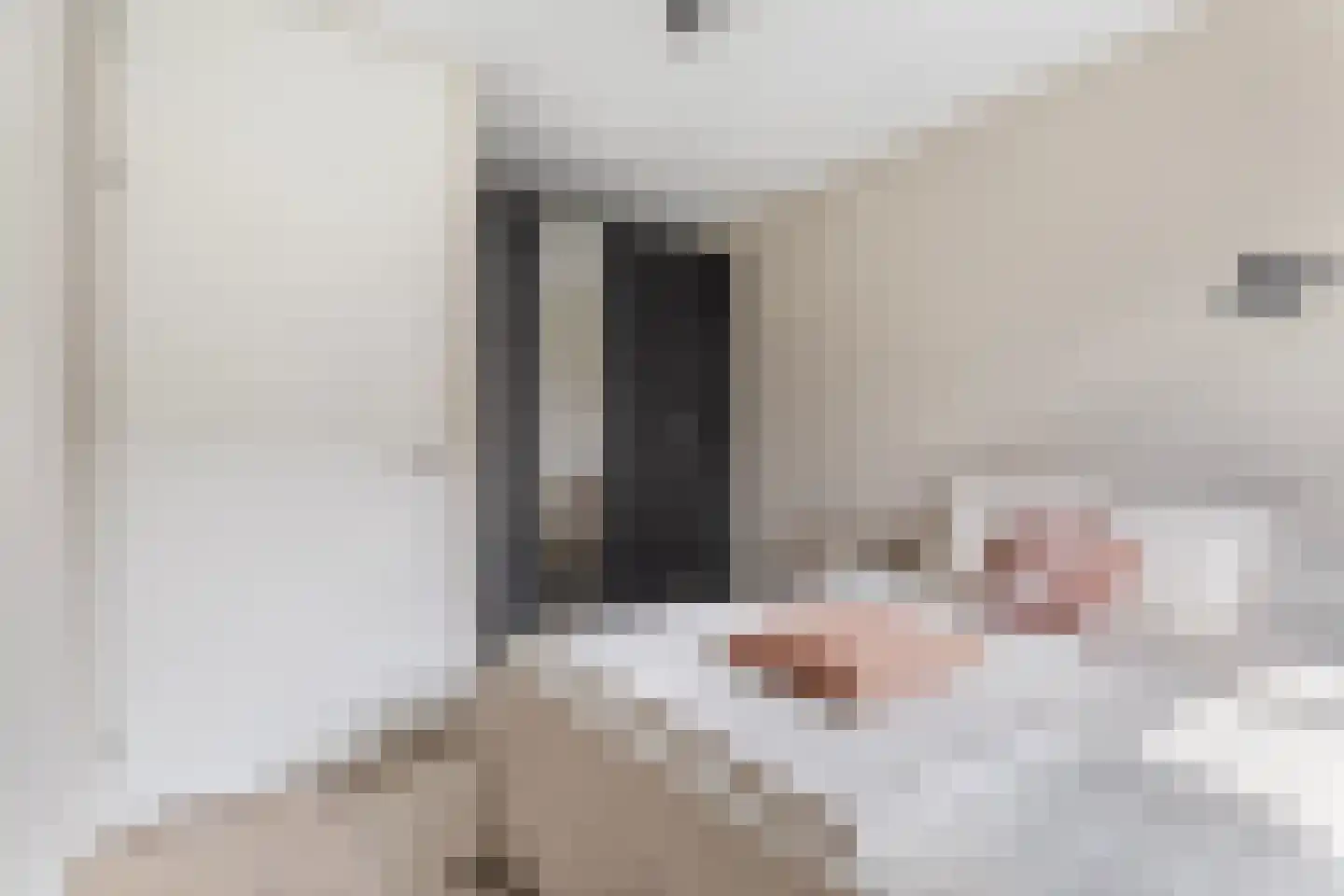 Memeleiland 116 Amsterdam thumbnail 20