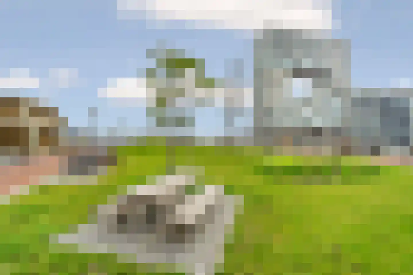 Memeleiland 116 Amsterdam thumbnail 35