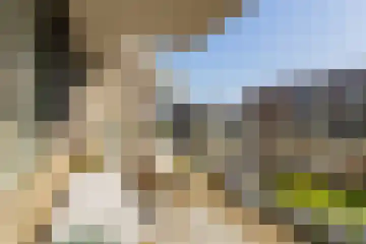 Memeleiland 131 Amsterdam thumbnail 12