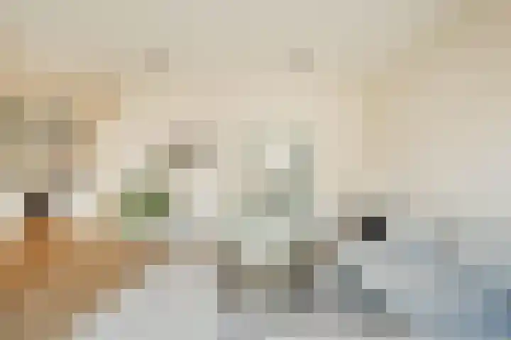 Memeleiland 131 Amsterdam thumbnail 19