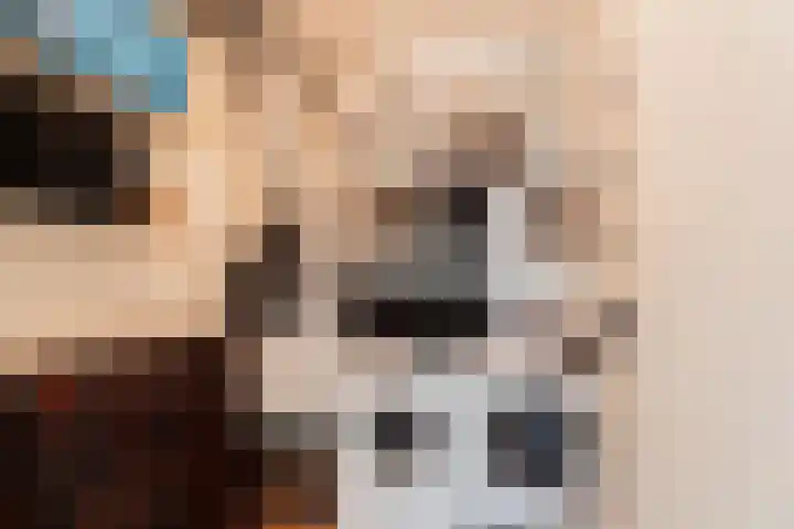 Memeleiland 131 Amsterdam thumbnail 32