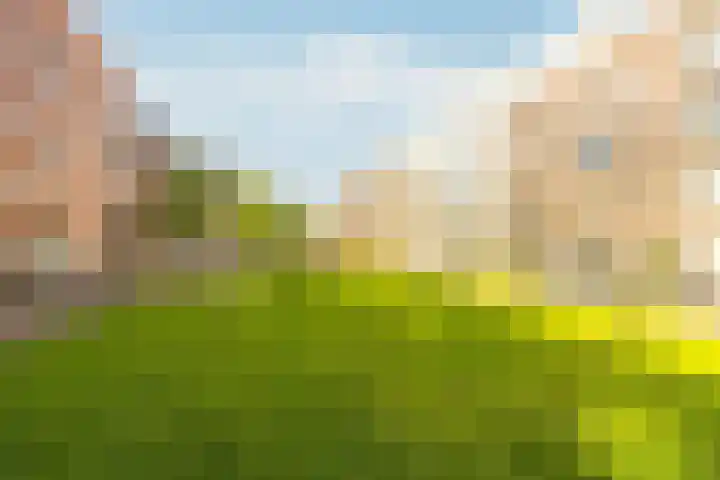 Memeleiland 131 Amsterdam thumbnail 42
