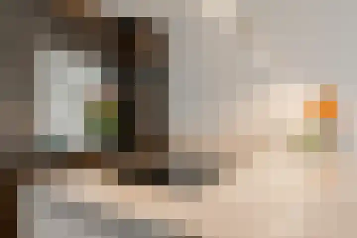 Memeleiland 134 Amsterdam thumbnail 11