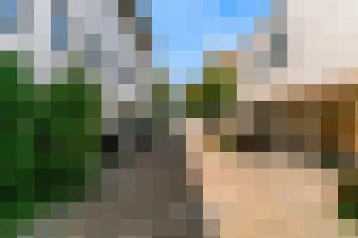 Memeleiland 134 Amsterdam thumbnail 14