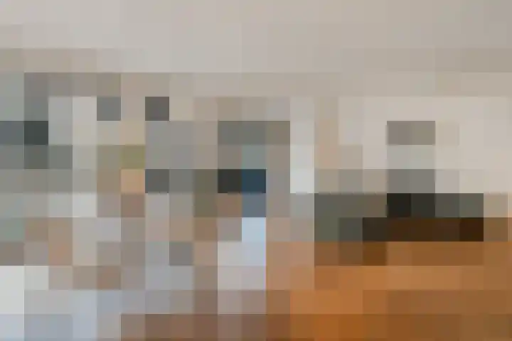 Memeleiland 134 Amsterdam thumbnail 17