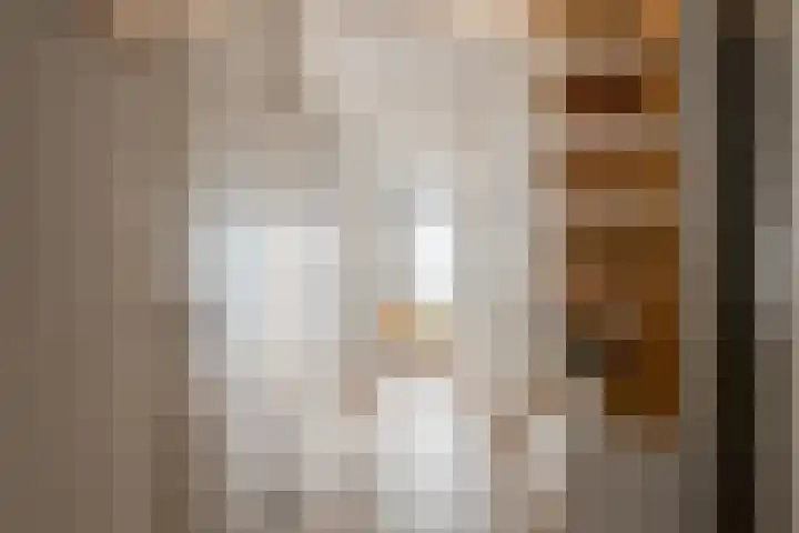 Memeleiland 134 Amsterdam thumbnail 23