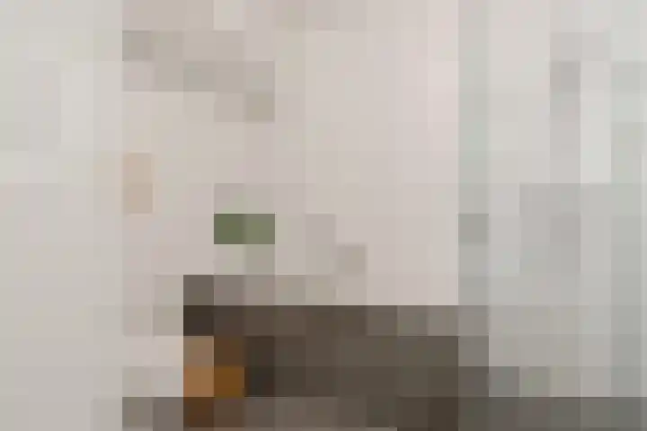 Memeleiland 134 Amsterdam thumbnail 28
