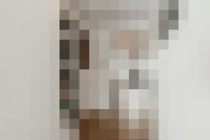 Memeleiland 134 Amsterdam thumbnail 34