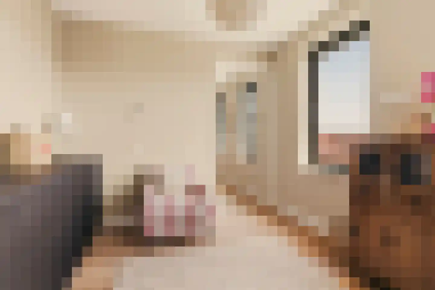 Memeleiland 160 Amsterdam thumbnail 22